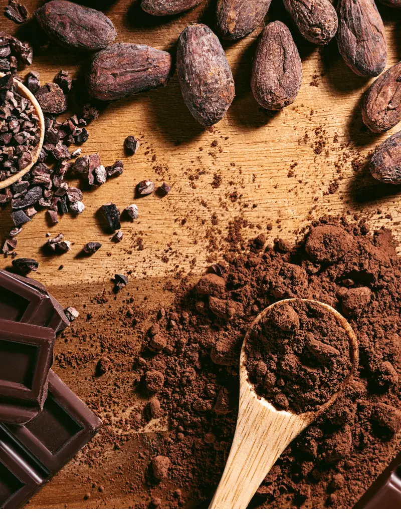 chocolate