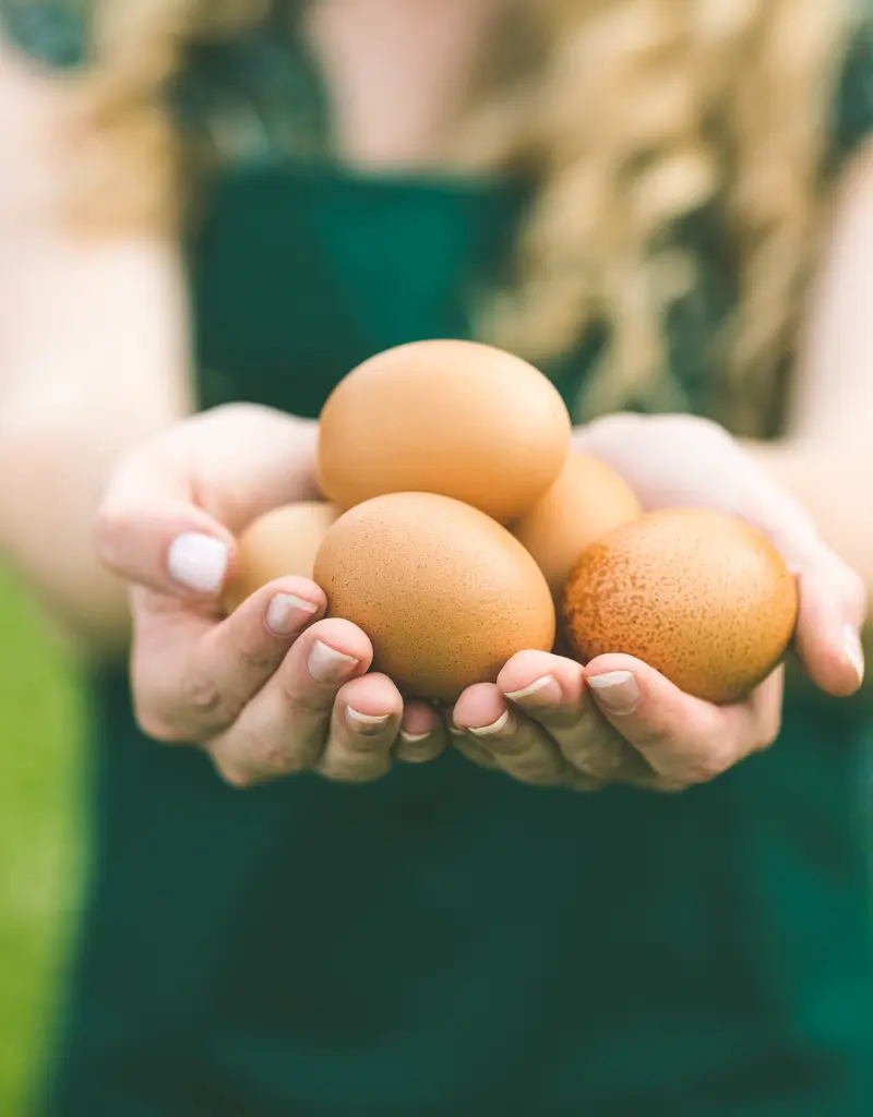 huevos